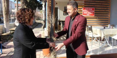 1 milyon adet orman ağacı fidanı toprakla buluşacak