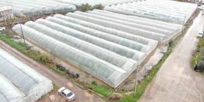 Metrekareye 180 kilogram yağış düştü, seraları su bastı