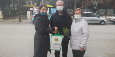 Çam ağacı kesimini önlemek için bin adet fidan dağıtıldı
