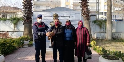 Yaralı bulunan şahin tedavi altına alındı