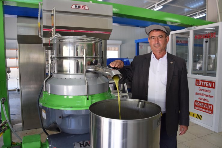Kumluca'da Zeytinler Yağa Dönüşüyor