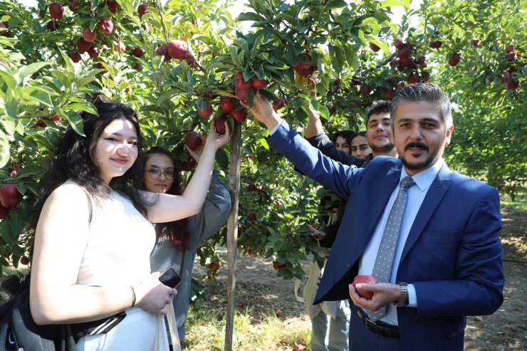Rektör Öğrencilerle Elma Topladı