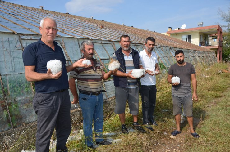 Serik'te Dolu, Tarım Alanlarını Vurdu