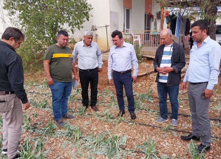 Doludan 102 Çiftçinin 305.5 Dekar Alanı Zarar Gördü