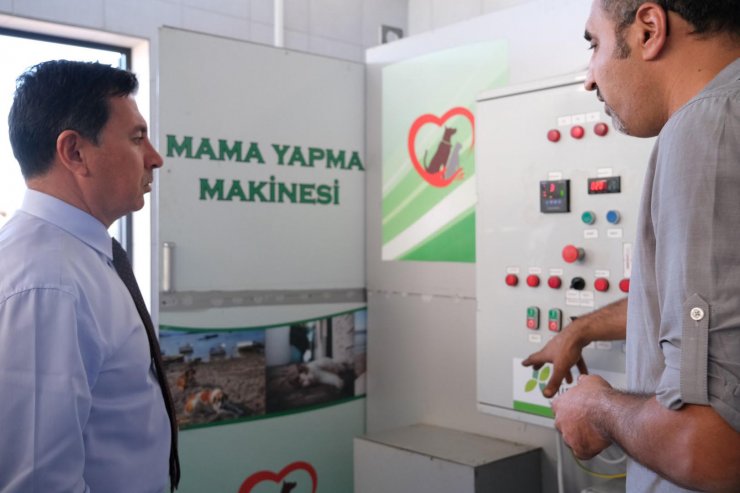 Belediyeden sokak hayvanları için mama üretimi