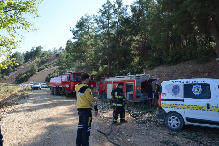 Korkuteli'de orman yangını