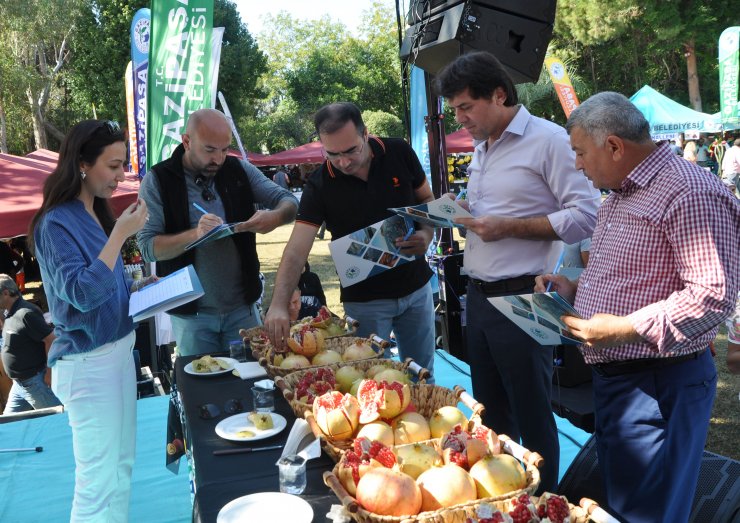 Çekirdeksiz Nar ve Tropikal Meyve Festivali yarışmalarla devam etti