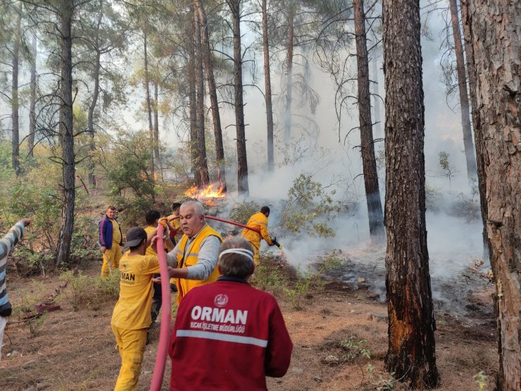 Burdur'da orman yangını
