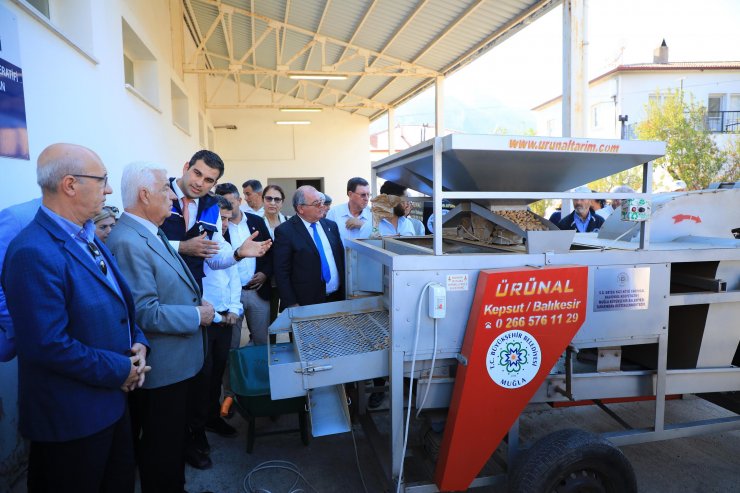 Muğla'da Datça bademi ve zeytinciliği için iş birliği