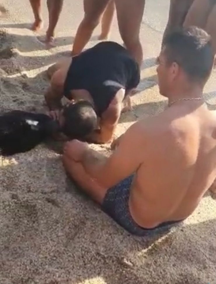 Alanya'da denizde boğulan eşeğe suni teneffüs