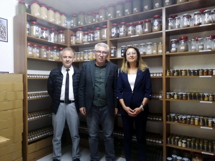Muğla'da önümüzdeki yılın ata tohumlarını dağıtıma hazırlanıyor