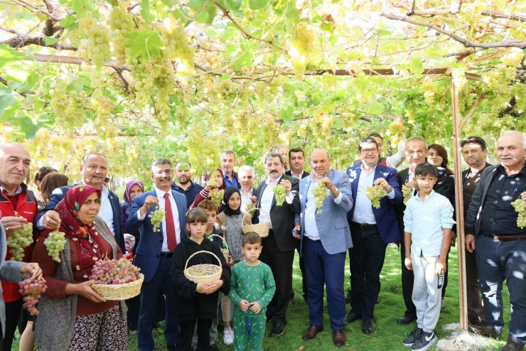 Seydikemer'de 'Bağbozumu Şenliği'