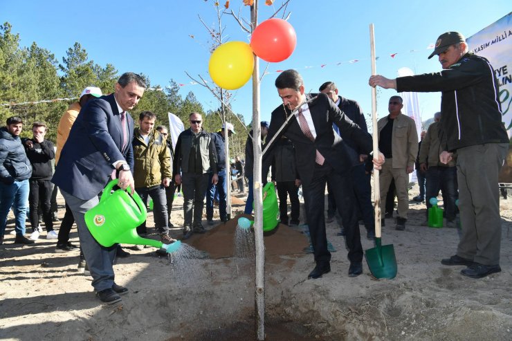Isparta'da 14 bin 500 fidan dikildi