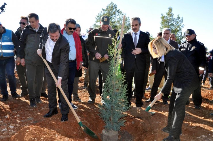 Muğla'da 250 bin fidan toprakla buluştu