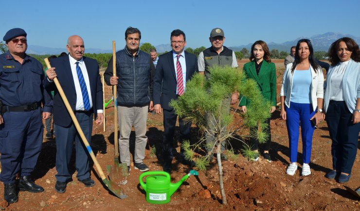 Serik'te fidan dikimi