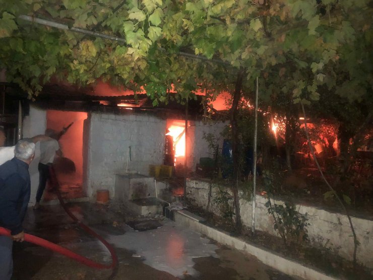 Muğla'da ahır yangını; 3 küçükbaş öldü