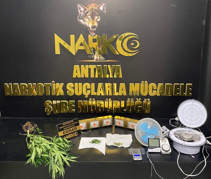 Antalya Polisi'nden sokak satıcılarına operasyon