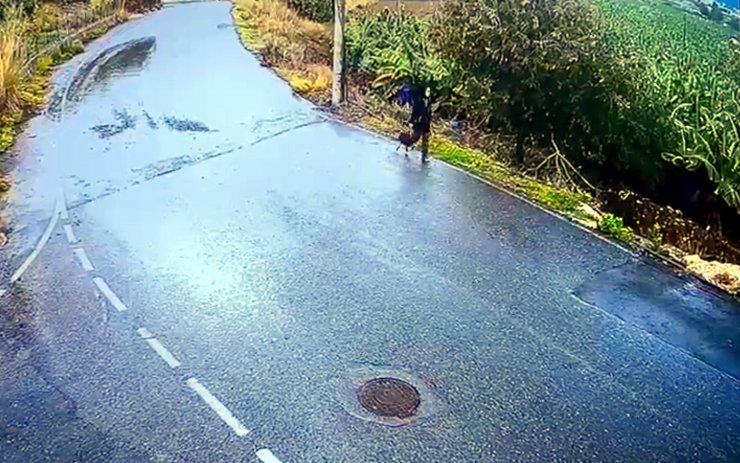 Kayıp Seda Nur, 4 gündür aranıyor