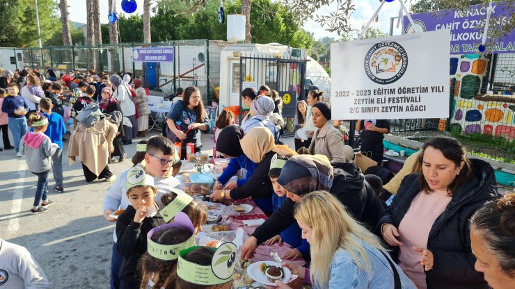 Bodrum'da ilkokulda hasadın ardından zeytin festivali