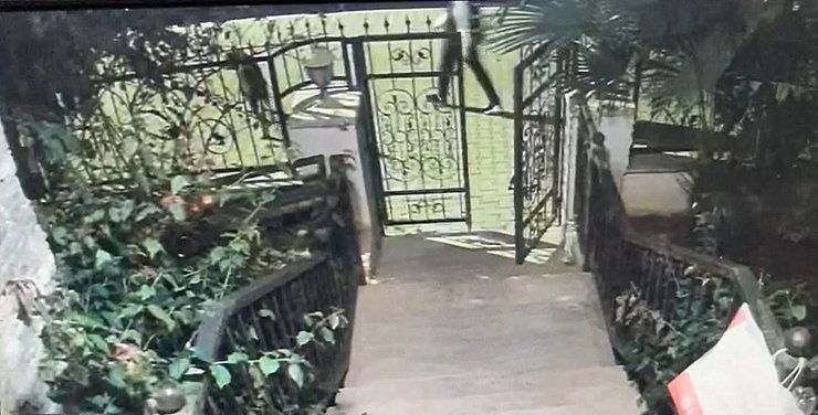 Marmaris'te 'cins köpek' hırsızlığı kamerada