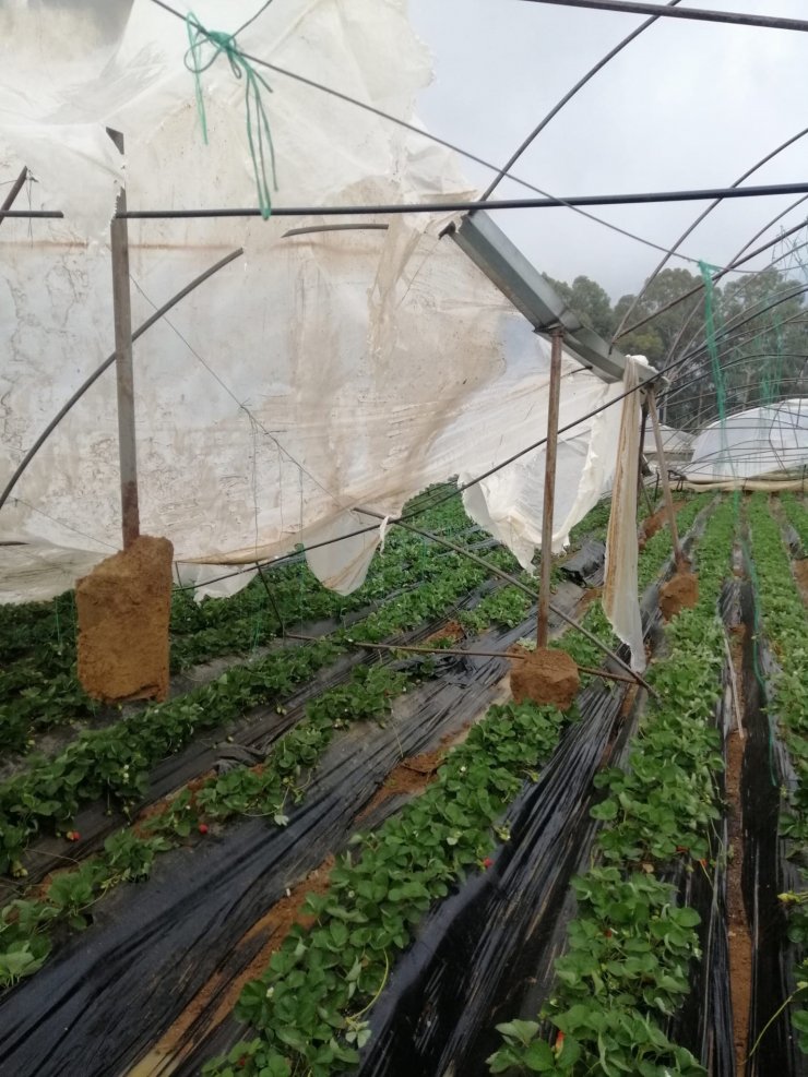 Antalya'da hortum, seralara zarar verdi
