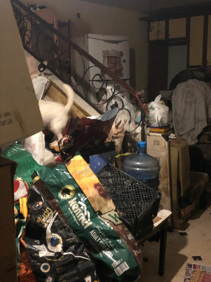 Evinde çok sayıda çürümüş köpek ve kedi ölüsü bulundu, akıl hastanesine sevk edildi