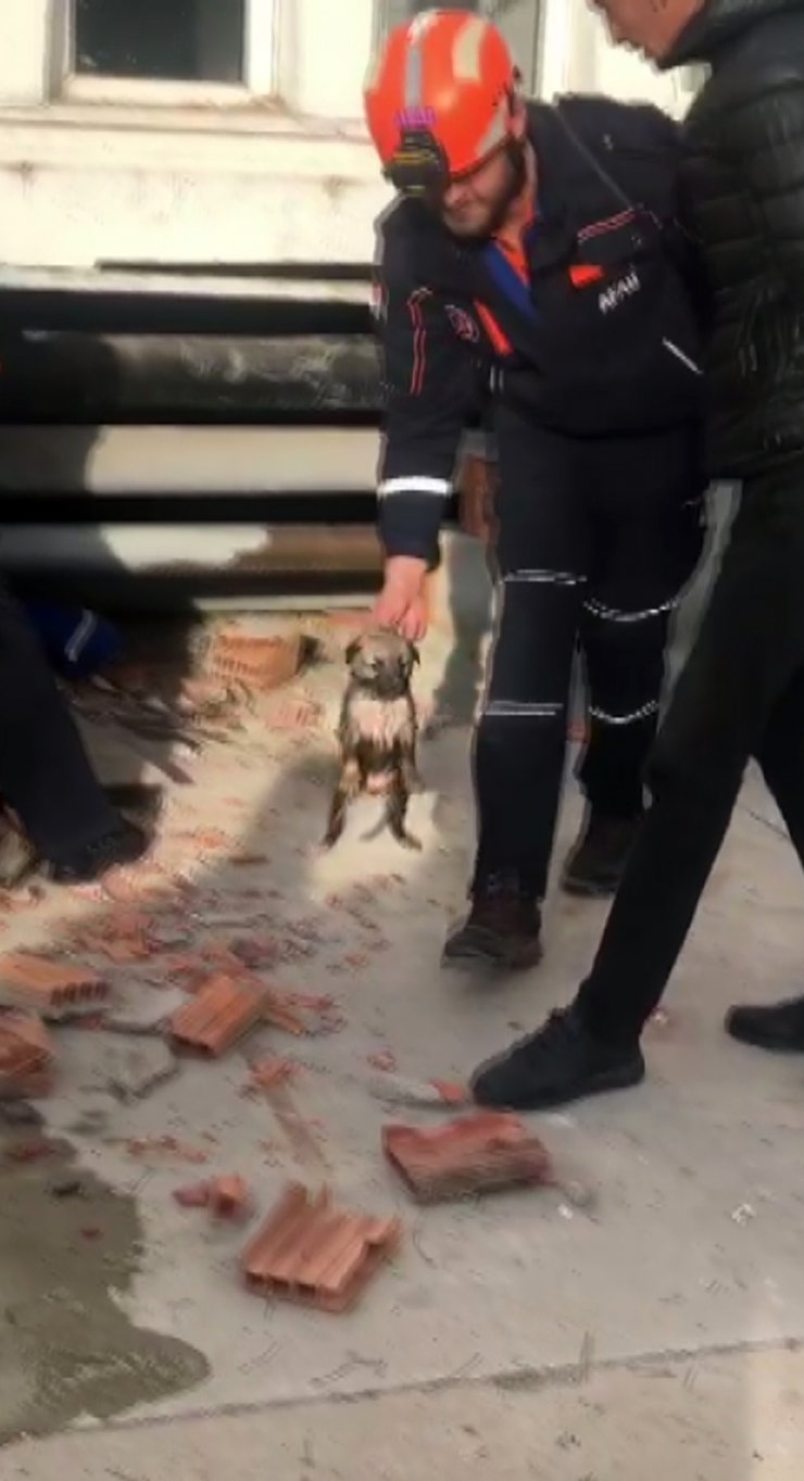 Borular arasında sıkışan yavru köpek için seferber oldular