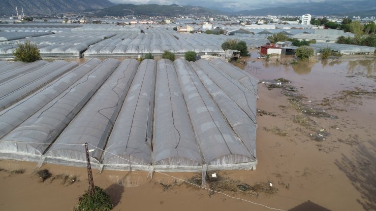 Sel felaketinin yaşandığı Kumluca'da hale giren ürün, yüzde 90 azaldı