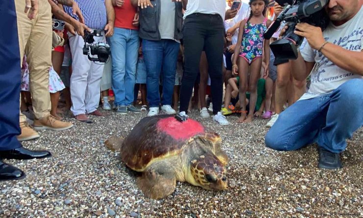 Kıbrıs Barış Harekatı'nın yıl dönümünde denize bırakıldı, 2 bin 500 kilometre yol katetti
