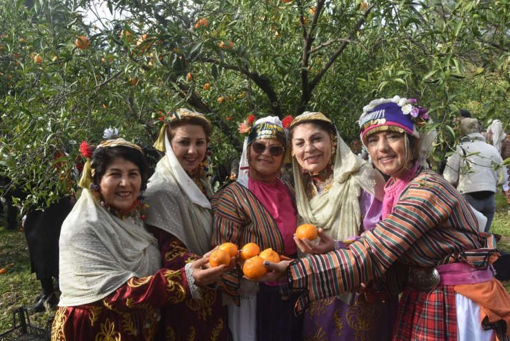 Coğrafi işaretli Bodrum mandalinası için festival