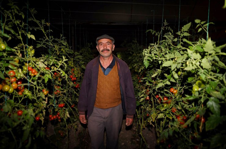 Konyaaltı Belediesi'nden sera üreticilerine ücretsiz yakıt desteği