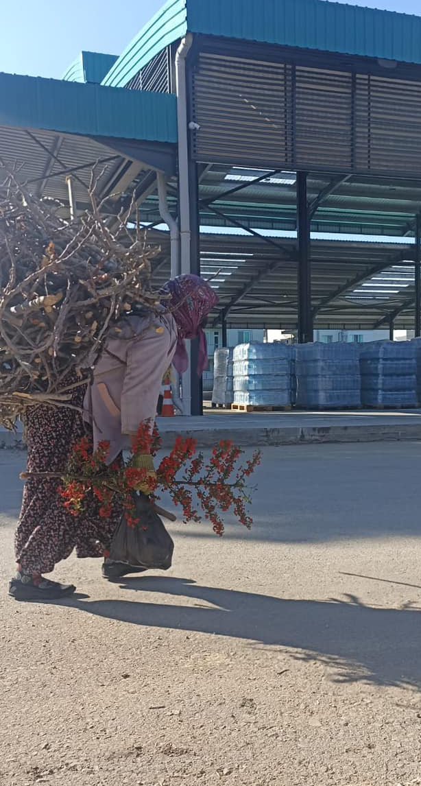 Topladığı odunları sırtında taşıyarak depremzedeler için getirdi 