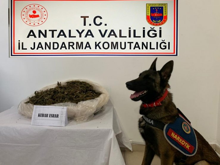 Jandarma aranan 210 şüpheliyi yakaladı