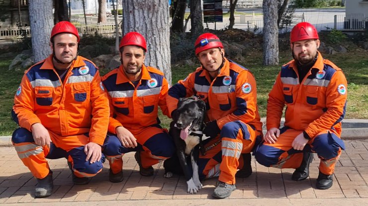 Depremzede köpek 'Hayat', yeni hayatlar kurtaracak