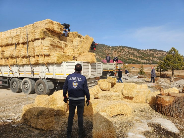 Konyaaltı'ndan afetzede üreticilere yem ve saman desteği