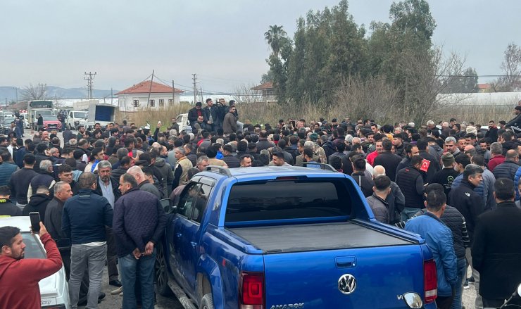 Antalya'da domates üreticileri ihracat kısıtlamasının kaldırılmasını istedi