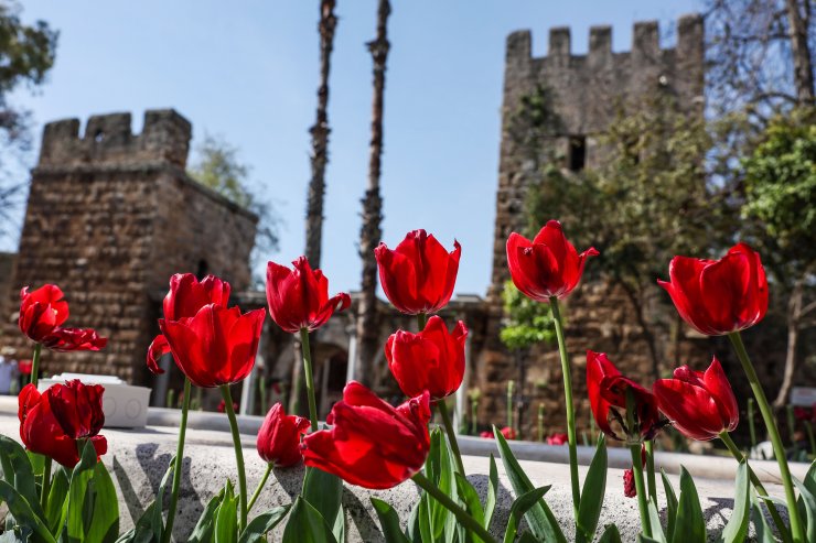 Antalya rengârenk lalelerle süslendi