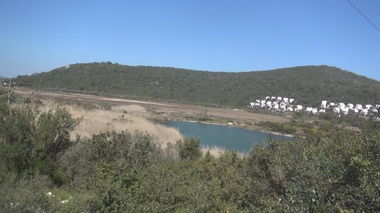 Bodrum'da Gölköy Kovalık Sulak Alanı, kurumaya başladı