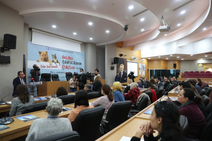 Başkan Böcek: Sokak hayvanlarına desteğimiz sürecek