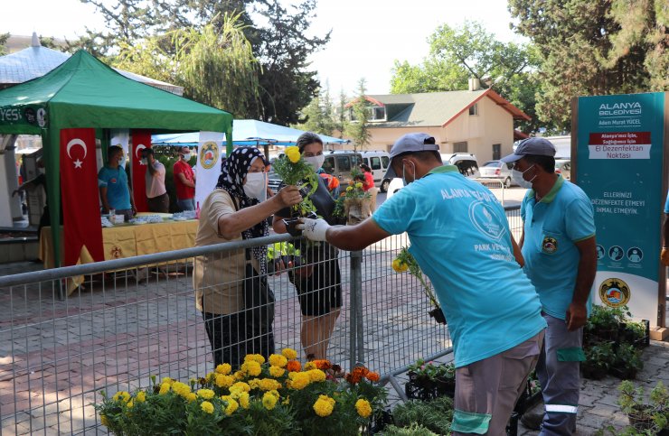 Alanya Belediyesi 62 bin 500 çiçek dağıtacak