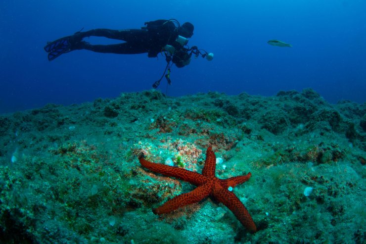 Uluslararası Kemer Sualtı Günleri başlıyor