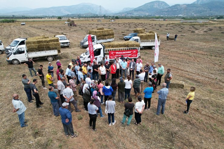 Muğla'da 90 kadın üreticiye saman balyası dağıtıldı