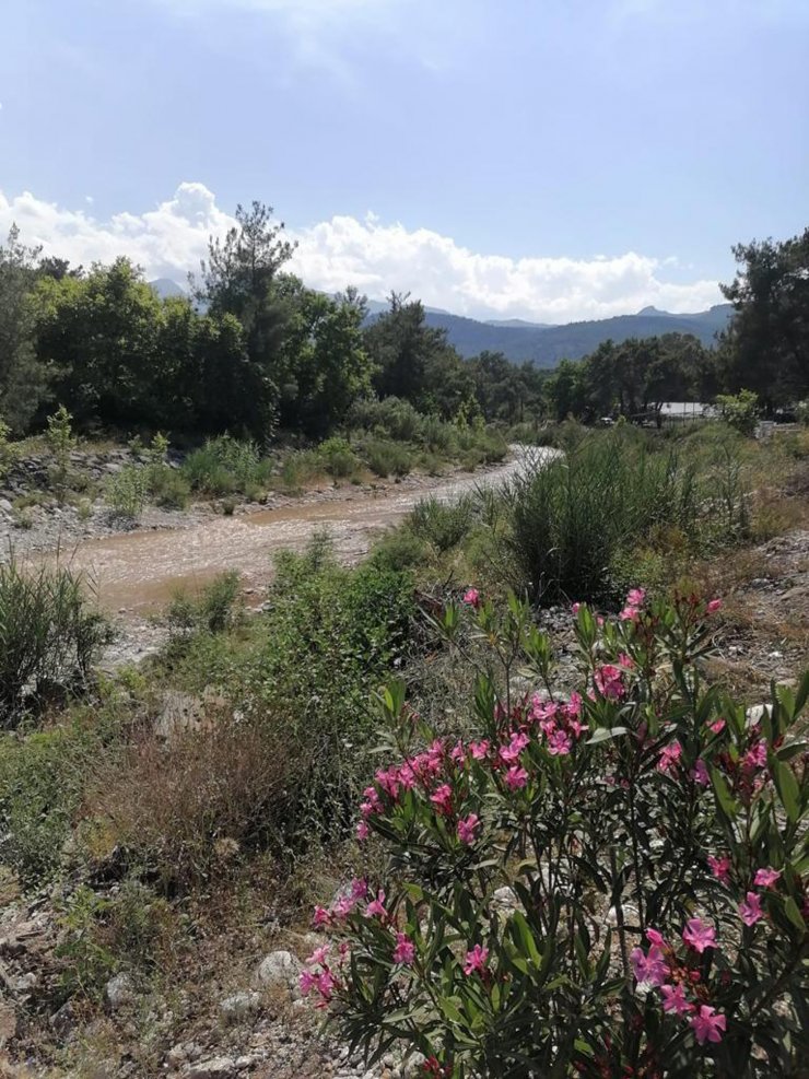 Boğaçayı'ndaki renk değişiminin nedeni toprak kayması