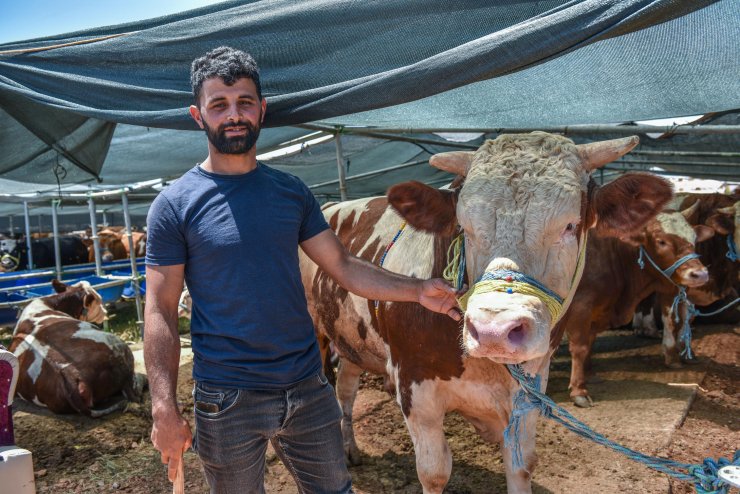 Kepez'de kurban satış ve kesim noktaları hazır