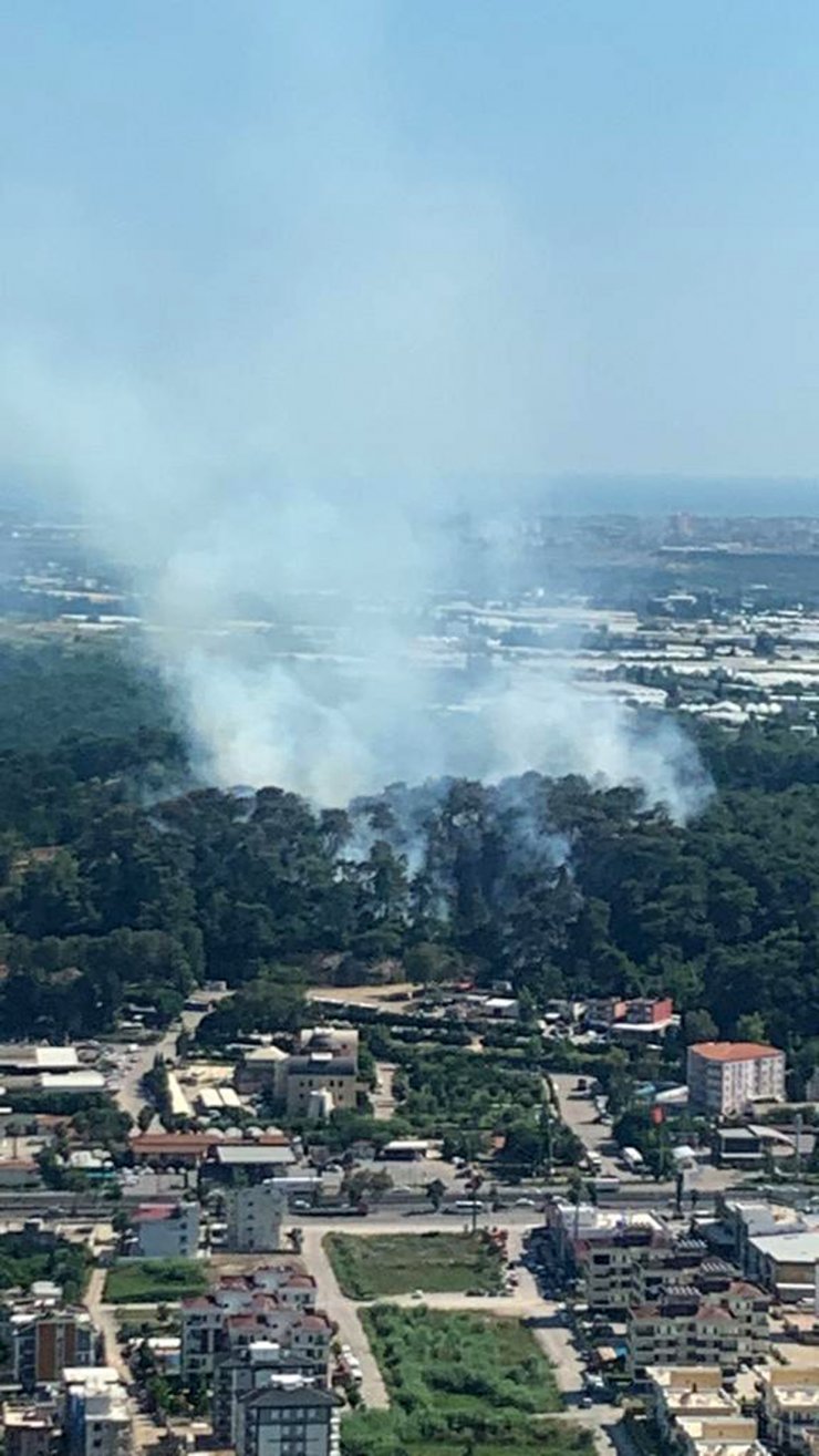 Antalya'da orman yangını (3)