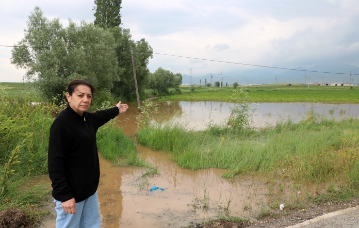 Yağış tarım arazilerine zarar verdi