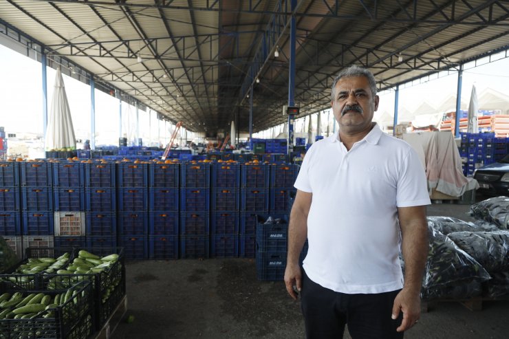 Rusya'nın koyduğu domates kotasının dolması imkansız