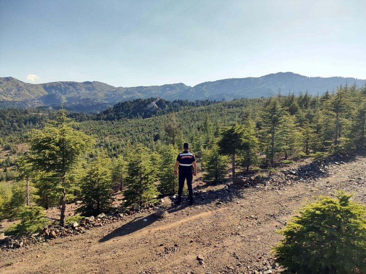 Muğla'da bazı bölgelerde ormanlara giriş yasaklandı