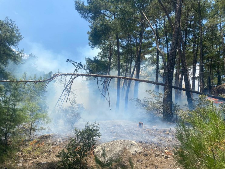 Finike'de orman yangını