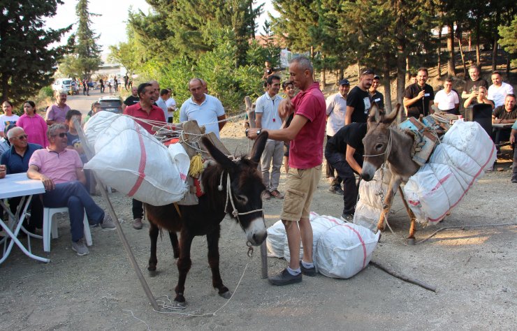 Bayram festivalinde eşeğe saman yükleme yarışması ilgi gördü